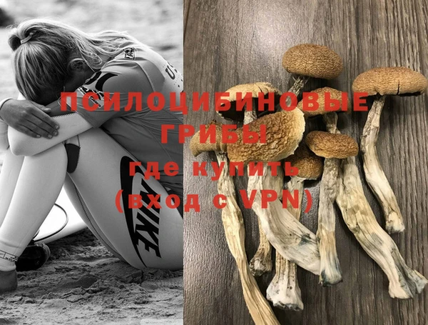 соль ск Белокуриха